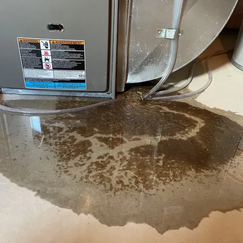 Appliance Leak Cleanup in Marshall County, IN